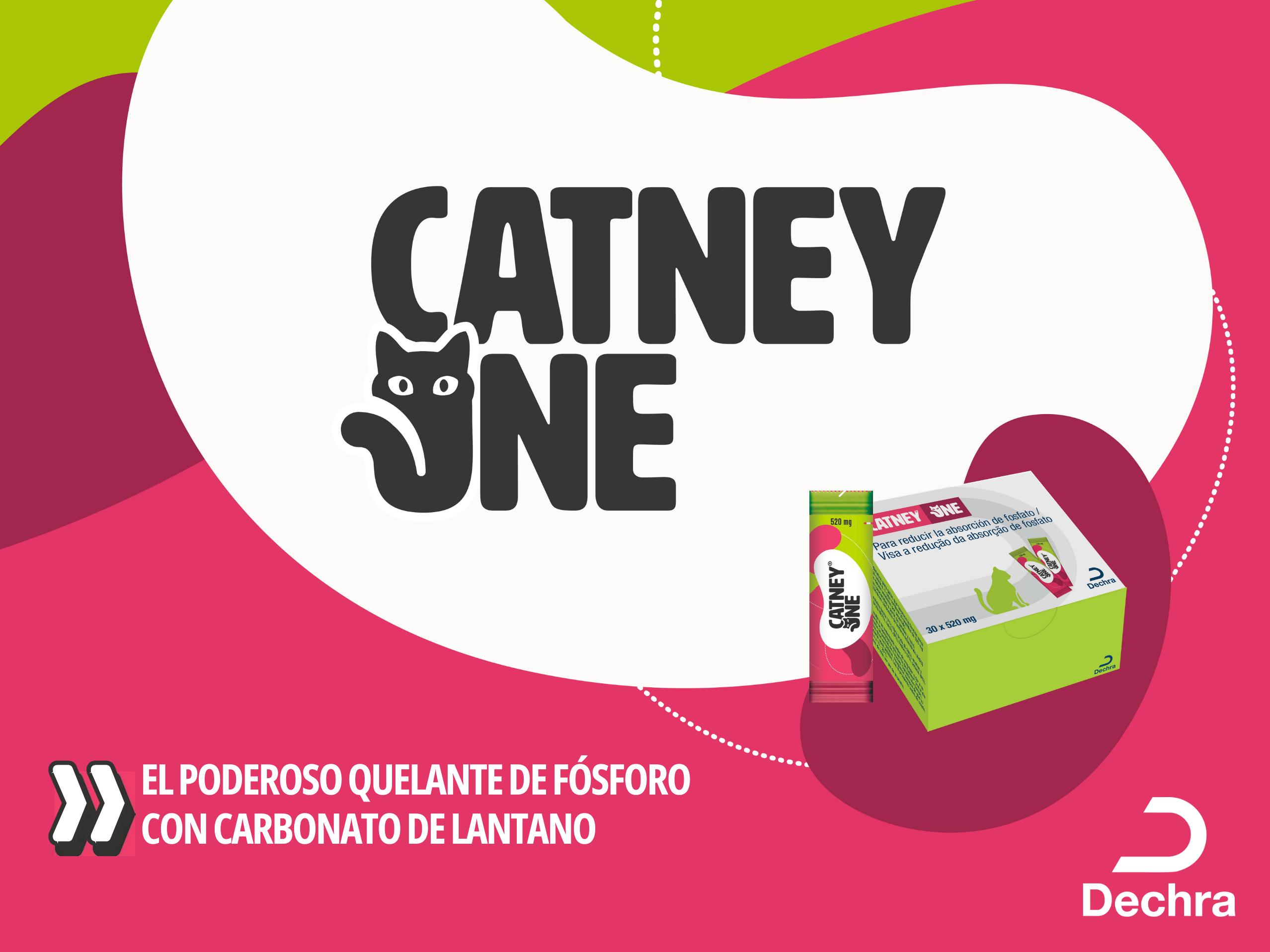Dechra lanza Catney One, el poderoso quelante de fósforo a base de carbonato de lantano